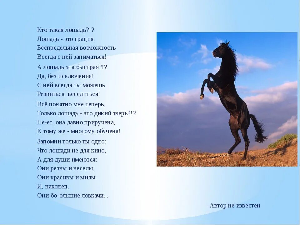 Стихотворение лошадь