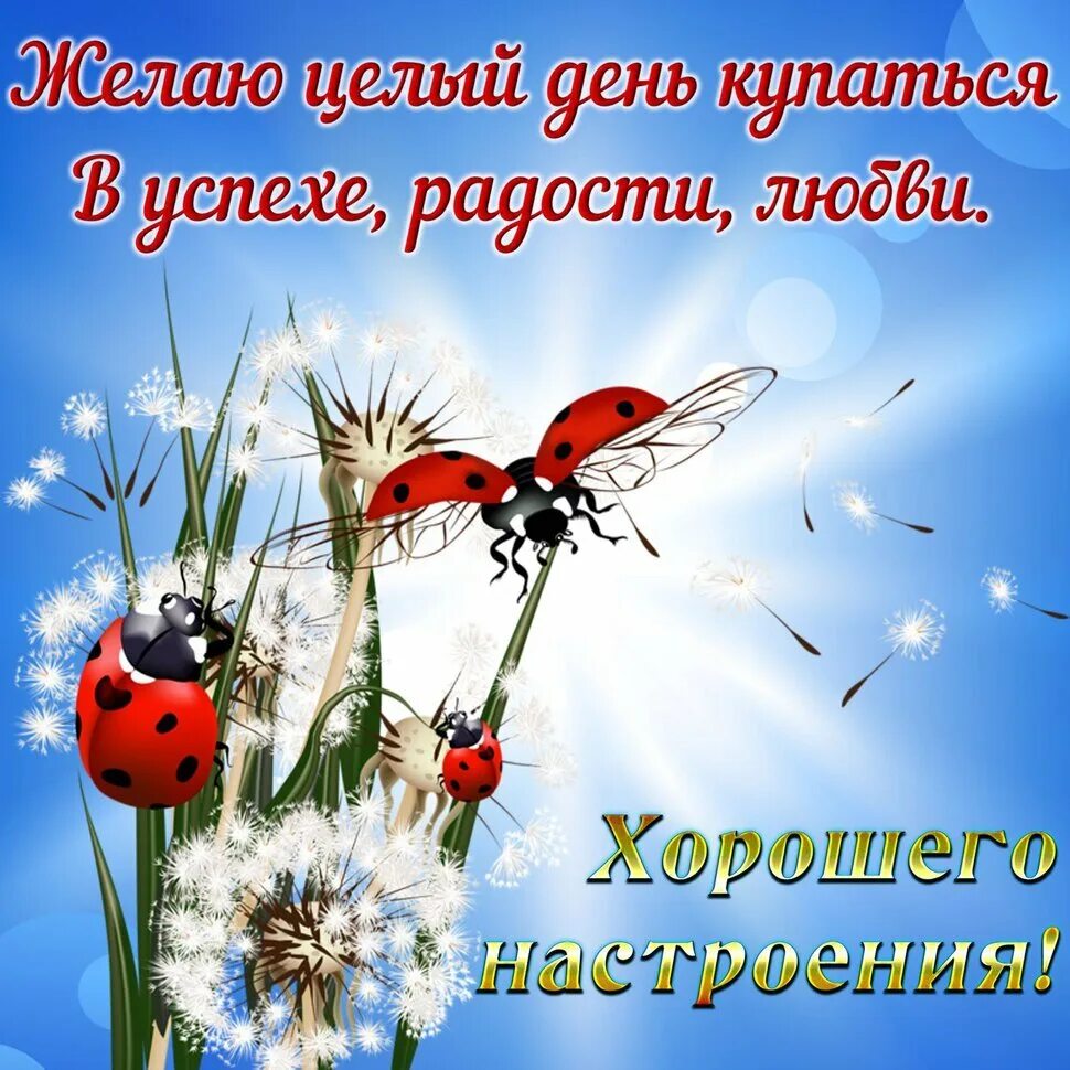 Хорошего дня и отличного настроения прикольные позитивные. Открытки с пожеланиями хорошего дня. хорошего дня и отличного настроения. пожелания хорошего дея. поздравления с хорошим настроением.