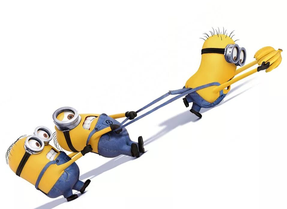 Minion run
