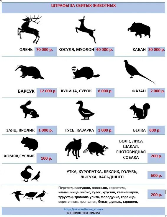 Штрафы за сбитых животных. Штрафы за сбитых животных 2021. Штраф за сбитое животное. Таблица штрафов за сбитие животных.