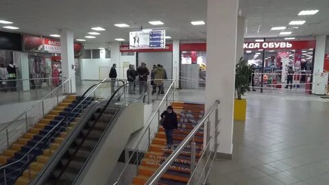 Парадиз тула выставка