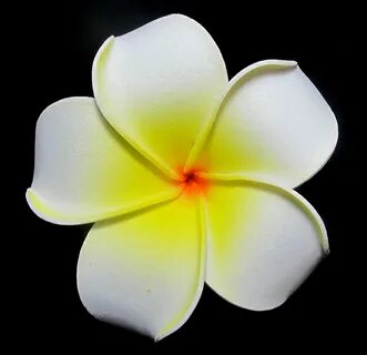 White Foam Plumeria Flower Hair Clip.