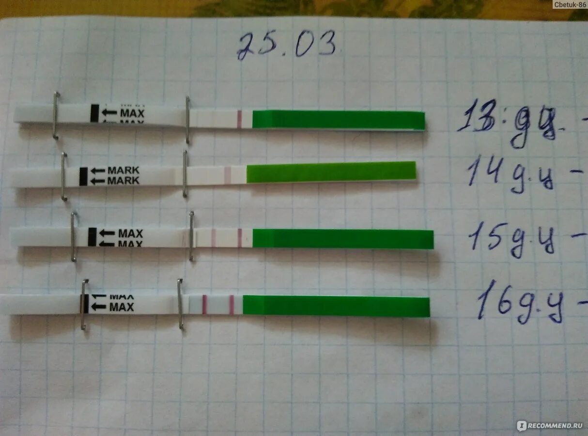 Овуплан овуляция. Овуплан тест на овуляцию отрицательный. Тест на овуляцию OVUPLAN. Тесты на овуляцию фото. OVUPLAN тест на овуляцию положительный.