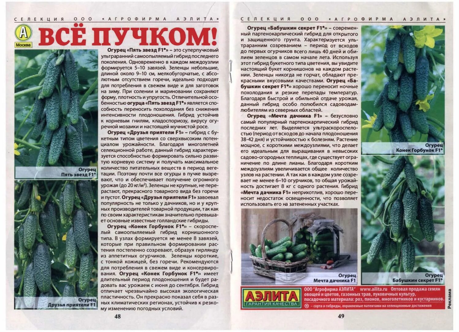 Какие сорта огурцов сажают в теплицу. Огурец корнишон сибирская гирлянда f1. огурец сибирский суперпучковый f1. огурцы семена пучковые сорта. огурец корнишон тёща f1 для открытого грунта.
