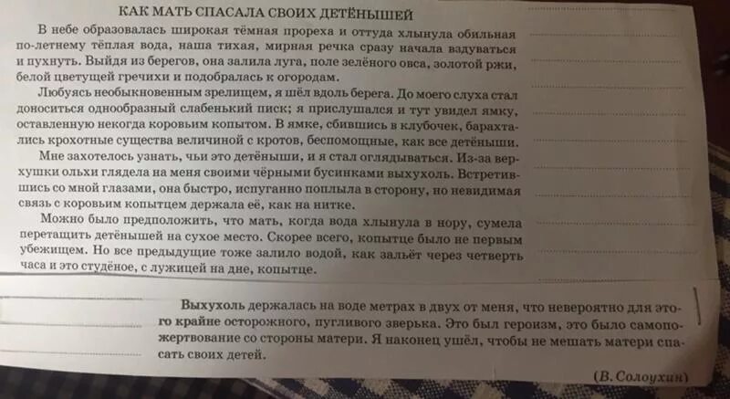 Изложение как мать спасала своих детенышей. Слово мать изложение. Изложение слово мама. Изложение на день матери. Слово мама огэ