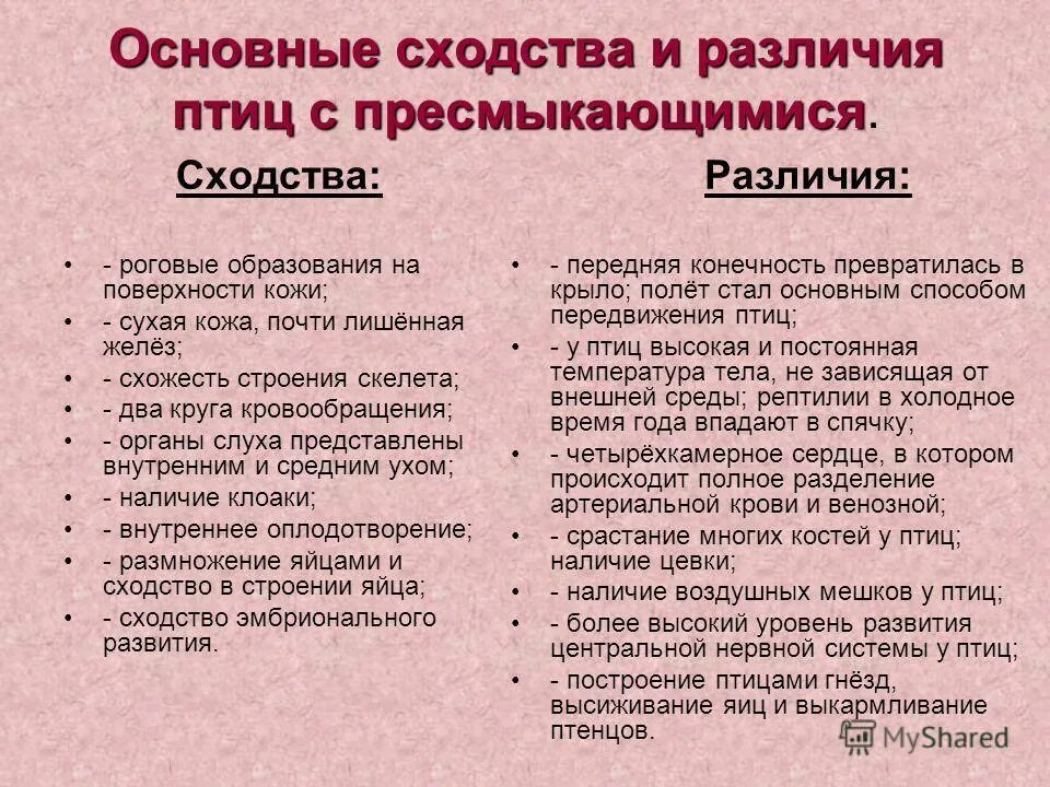 Схожести и различия. Признаки Общие для птиц и пресмыкающихся. Чем птицы отличаются от пресмыкающихся. Сходство птиц и пресмыкающихся. Сходства и отличия птиц и пресмыкающихся.