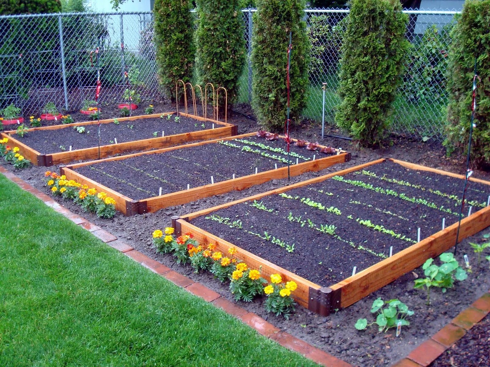 Насыпные грядки. Курдюмовские грядки. Грядка хольстера. Красивый огород. Удачная грядка.