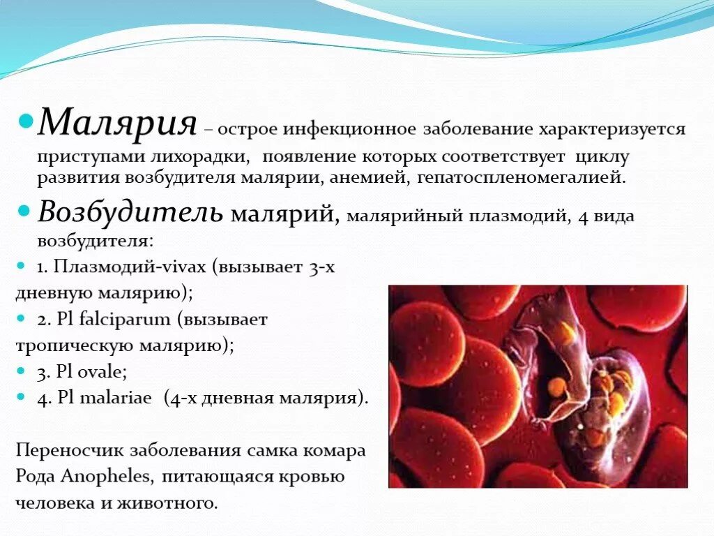Изменение свойств эритроцитов при тропической малярии. Малярийный плазмодий профилактика заболевания. Малярийный плазмодий возбудитель заболевания. Малярийный плазмодий болезнь. Малярийный плазмодий вызывает заболевание.
