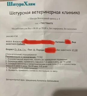 Шатура график работы