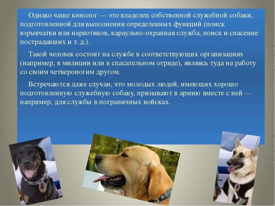 Сколько учиться на кинолога после 9 класса