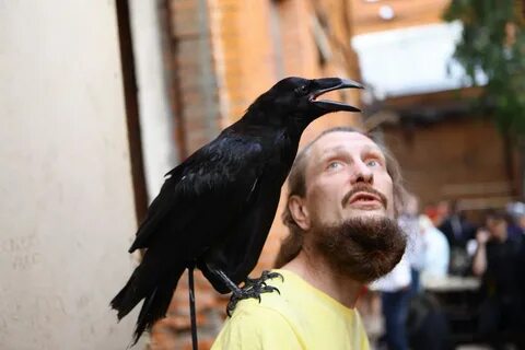 Коготь из мавритании содержание