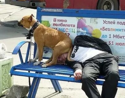 Унижай и подчиняй