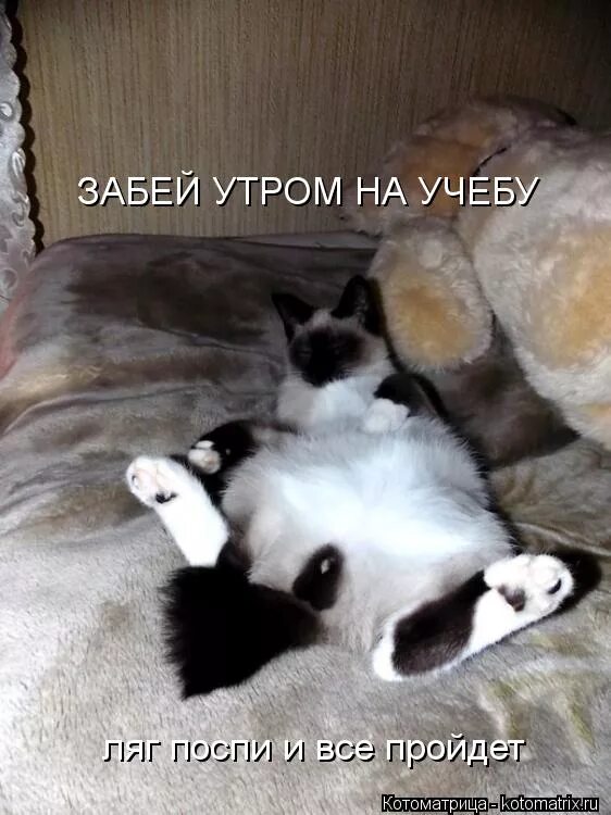 забей ложись спать. забей ложись спать. стихи про курение смешные. стихи про сигареты. ляг поспи и все пройдет.