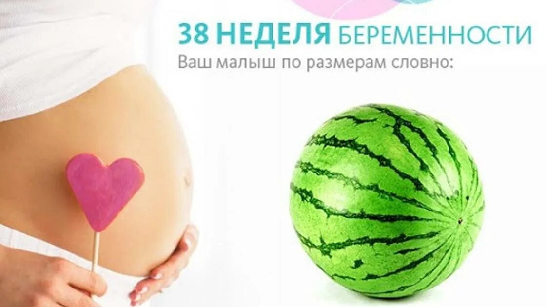 38 первый беременность. Размер ребенка 38 недель. Размеры малыша на 38 неделе беременности. 38 Неделя беременности вес. Вес на 39 неделе беременности.