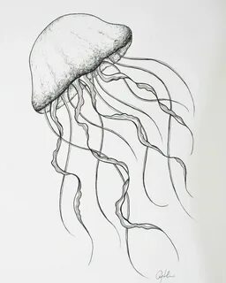 DataLife Engine Версия для печати Рисунок медузы поэтапно (41 фото)