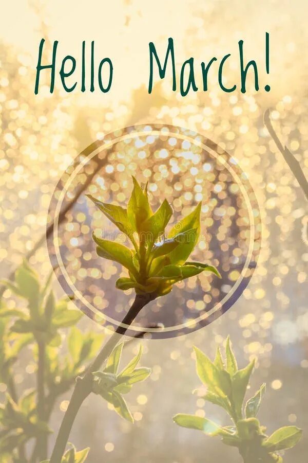 Hello March картинки. Привет март. Hello March hello Spring. Надпись hello March. March please