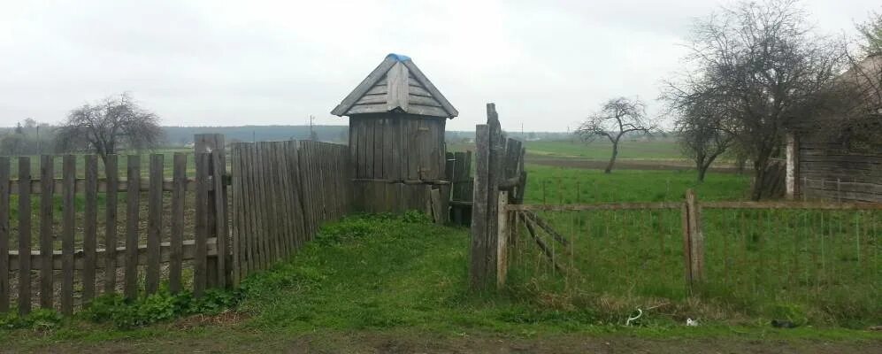 Чулатово. Черниговская обл городнянский р-н. Село елино черниговская область. Населенный пункт черниговская. Населенный пункт черниговская.
