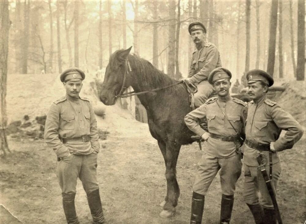 Белый офицер. Офицеры. Сибирские стрелки русской императорской армии. Сибирские стрелки белой армии.