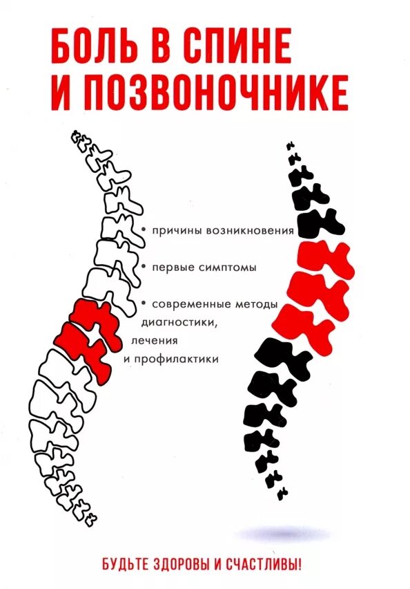 Причины боли в спине. Спина человека. Позвоночник ноги. Боль в спине. Болит сам позвоночник.