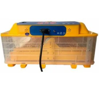 Инкубатор автоматический 12 220v