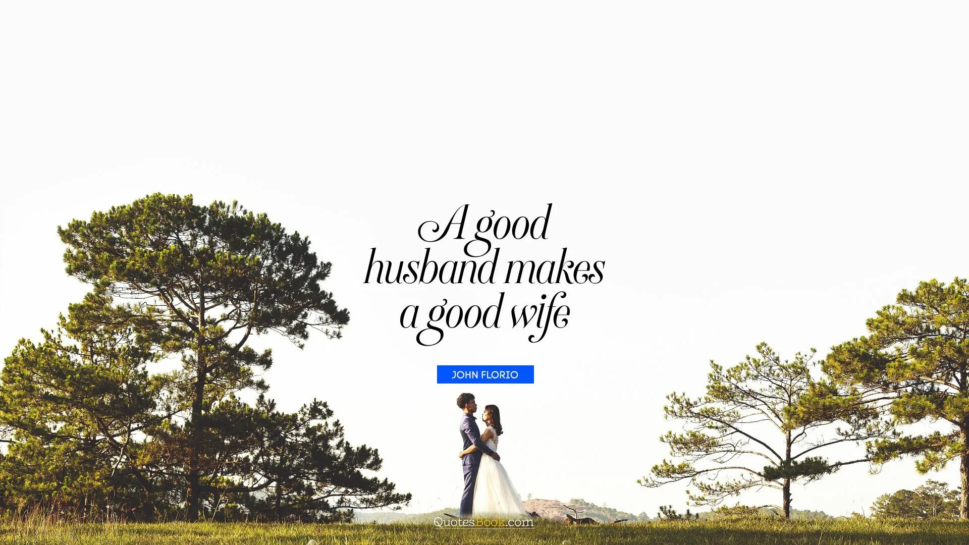 Good husband. A good husbands Guide. Husband is good. A good husband vs a good wife.