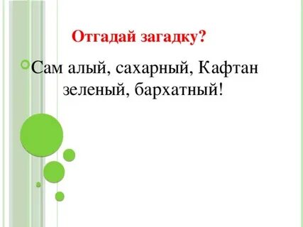 Загадка сам алый сахарный кафтан зеленый