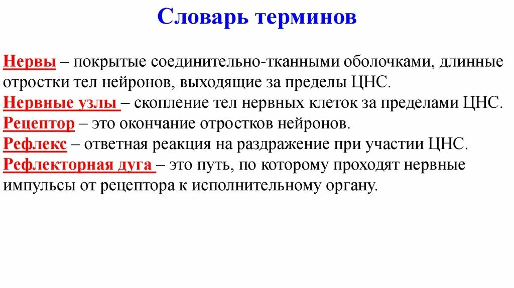 Нервные узлы определение. Нерв определение. Нервы и нервные узлы определение. Определение понятия нерв.