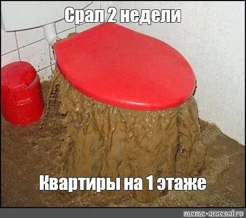Башки нету