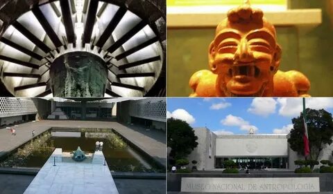 Museum anthropology