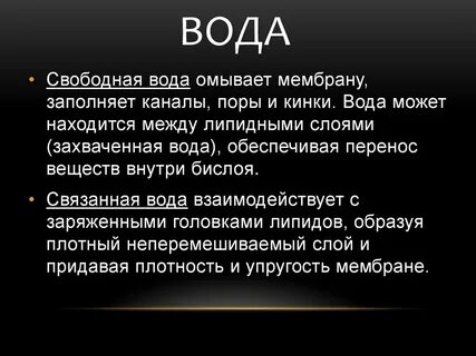 Что такое кинок