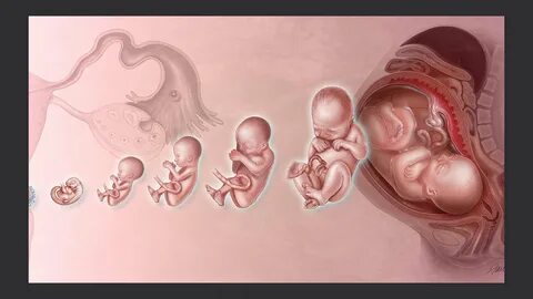 Гей жігіттер жыныстық қатынасқа түседі