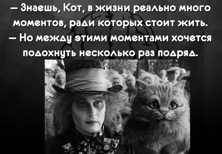 Ради таких моментов стоит. Знаешь кот. знаешь кот в жизни. знаешь кот в жизни реально много. а знаешь кот в жизни реально много моментов ради которых стоит жить.