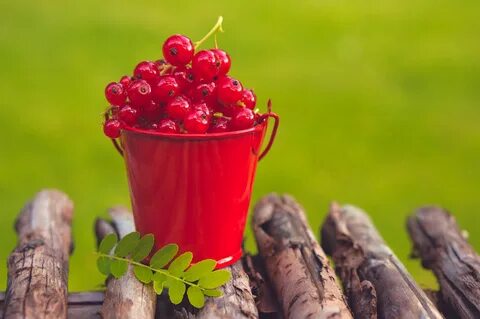 To many berries
