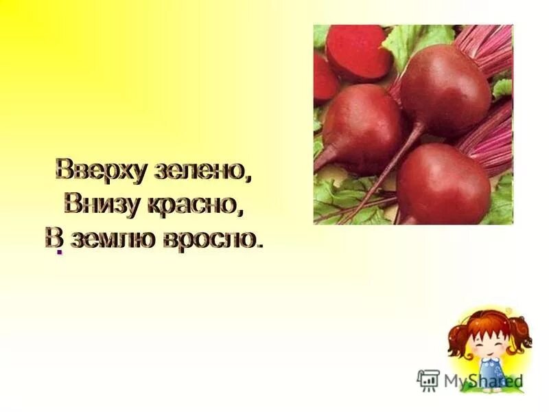 Сверху зелено снизу красно. Вверху зелено внизу красно в землю вросло. Вверху зелено внизу красно. Загадка внизу красно,вверху зелено,в землю вросло. Сверху зелено внизу красно в землю вросло ответ.