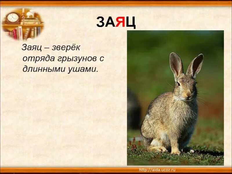 Заяц заяц два предложения. Рассказ про зайцев. Николай рубцов заяц в лес бежал по лугу. Заяц заяц два предложения. Заяц заяц два предложения.