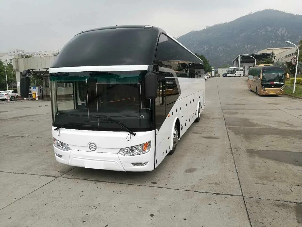 Автобусы Golden Dragon в аренду в Москве компания "Свадебные Авто"