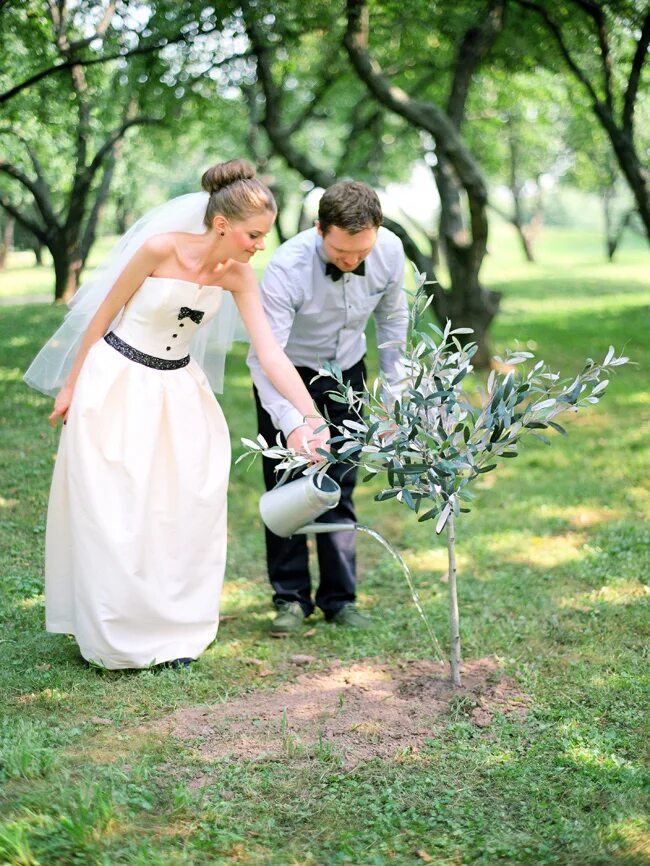 Брачное дерево. Свадьба на свежем воздухе. Молодожены сажают дерево. Посадка деревьев жениха и невесты. Церемония посадки дерева на свадьбе.