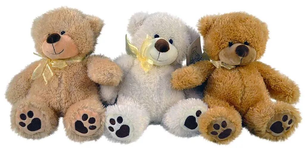 лапки плюшевой игрушки. медведь лапа игрушка. медведь лапа игрушка. медведь лапа игрушка. плюшевые игрушки.