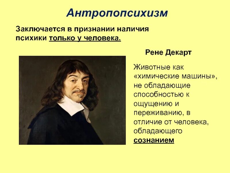 Представление согласно которому человек. Теория декарта. рене декарт и животные. антропопсихизм декарт. учение о человеке декарта.