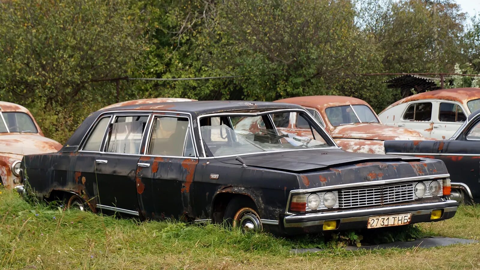 Заброшенная чайка. Заброшенная чайка. Газ 14. Брошенная чайка. Заброшенная чайка.