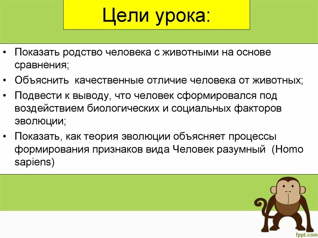 Отличие человека от животных. Чем человек отличается от животного. Чем человек отличается от животных 3 класс. Положение человека в животном мире презентация.