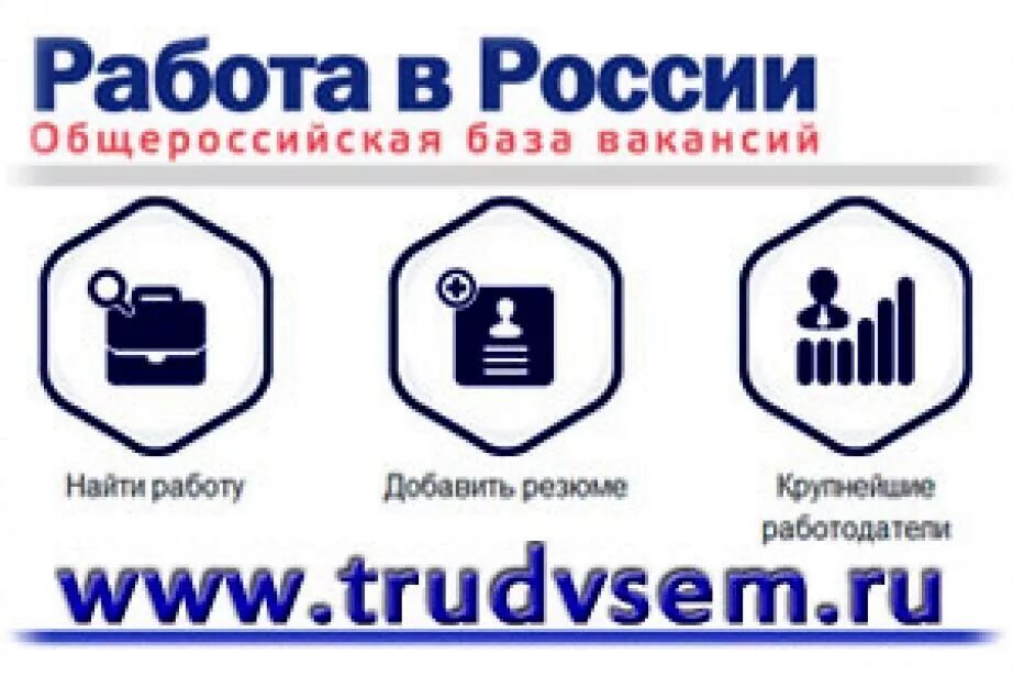 Всегда работа рф. Работа России. Портал работа в России. Работа России логотип. Портал работа в России логотип.