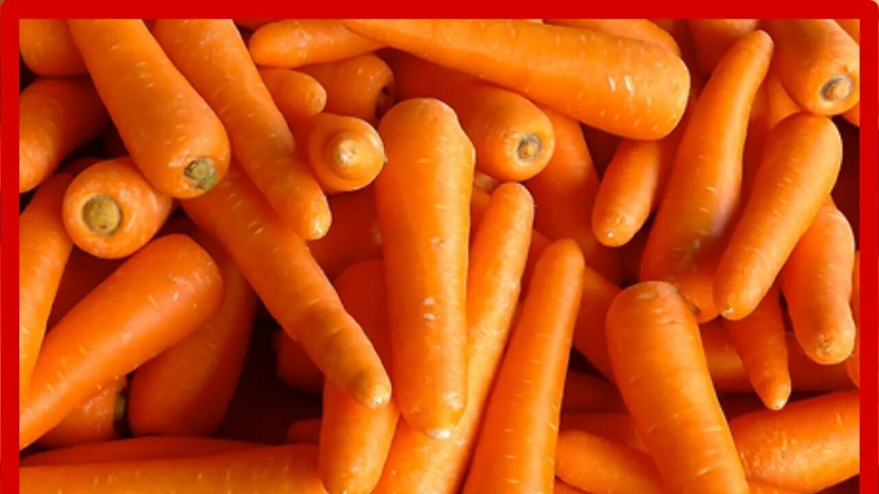 Морковь весовая. Orange is a carrot. Морковь свежая. Морковка есть оранжевая. Морковка крупным планом.