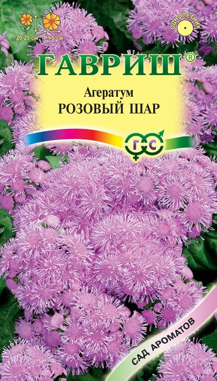 Агератум розовый шар семена. Агератум однолетник. Цветы агератум розовый шар. Агератум Гавриш. Агератум семена купить