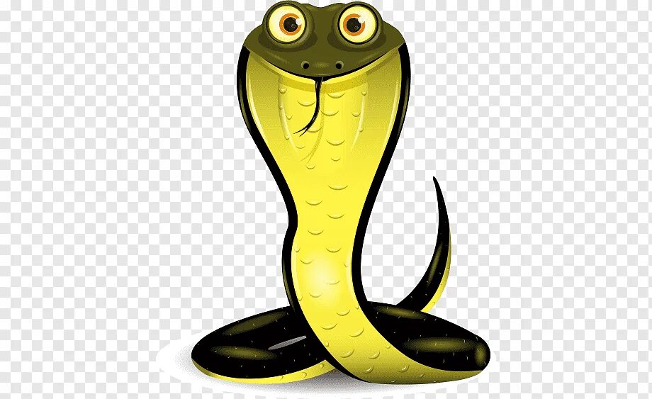 Snake code