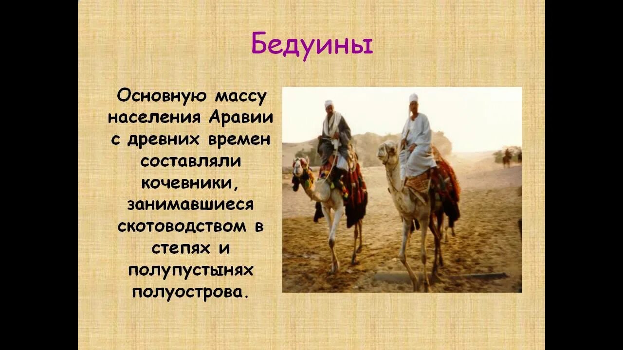 Главное занятие бедуинов земледелие. Племена бедуинов. Бедуины в израиле. Бедуины синая. Верблюд в арабском халифате.