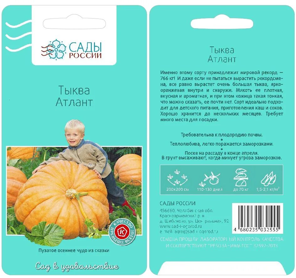 Тыква керлинг описание сорта. Тыква крупноплодная атлант. атлант гигант тыква. тыква атлант семко. семена тыква атлант.
