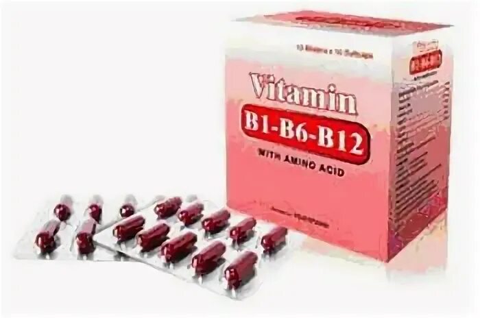 B1 b6 b12