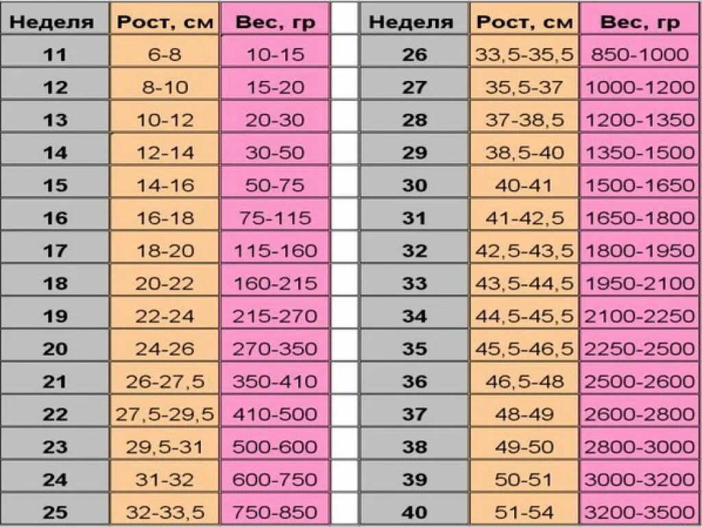 Вес плода на 34 неделе беременности. Вес плода в 36 недель беременности норма таблица. Вес плода на 32 -34 неделе беременности. Вес плода в 22 недели беременности норма таблица. Вес плода на 32 неделе