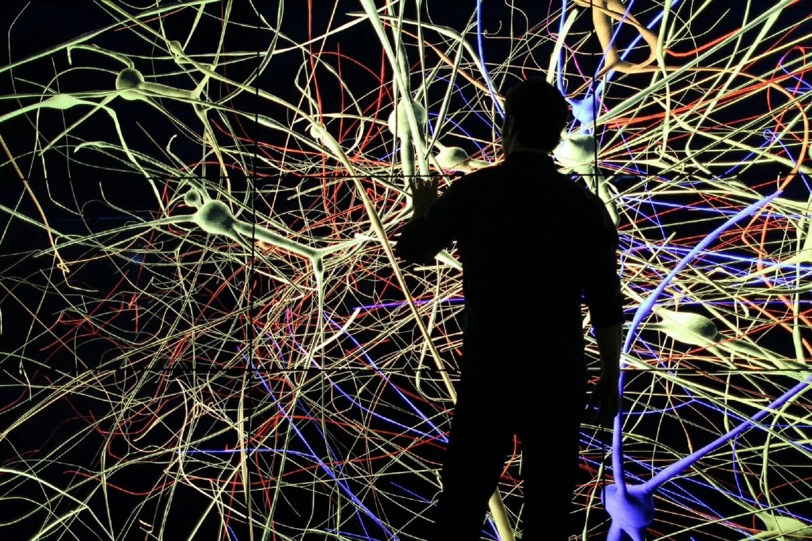 Мозг с Дэвидом Иглменом. Нейронная сеть мозга. Нейронная сеть человеческого мозга. Нейронные связи в мозге. Нейросеть игра 2000